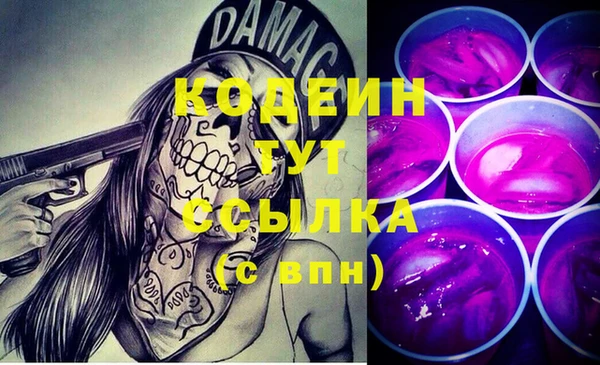 дживик Бородино