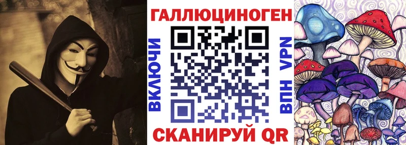 что такое   Дивногорск  Псилоцибиновые грибы Cubensis 